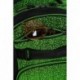 Plecak na deskorolkę zielony CoolPack GREEN młodzieżowy SKATER CP 17” - Cool-pack.pl